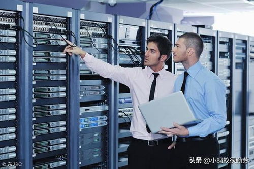 服務器子系統(tǒng)解析 硬件形態(tài)與主流操作系統(tǒng)概覽