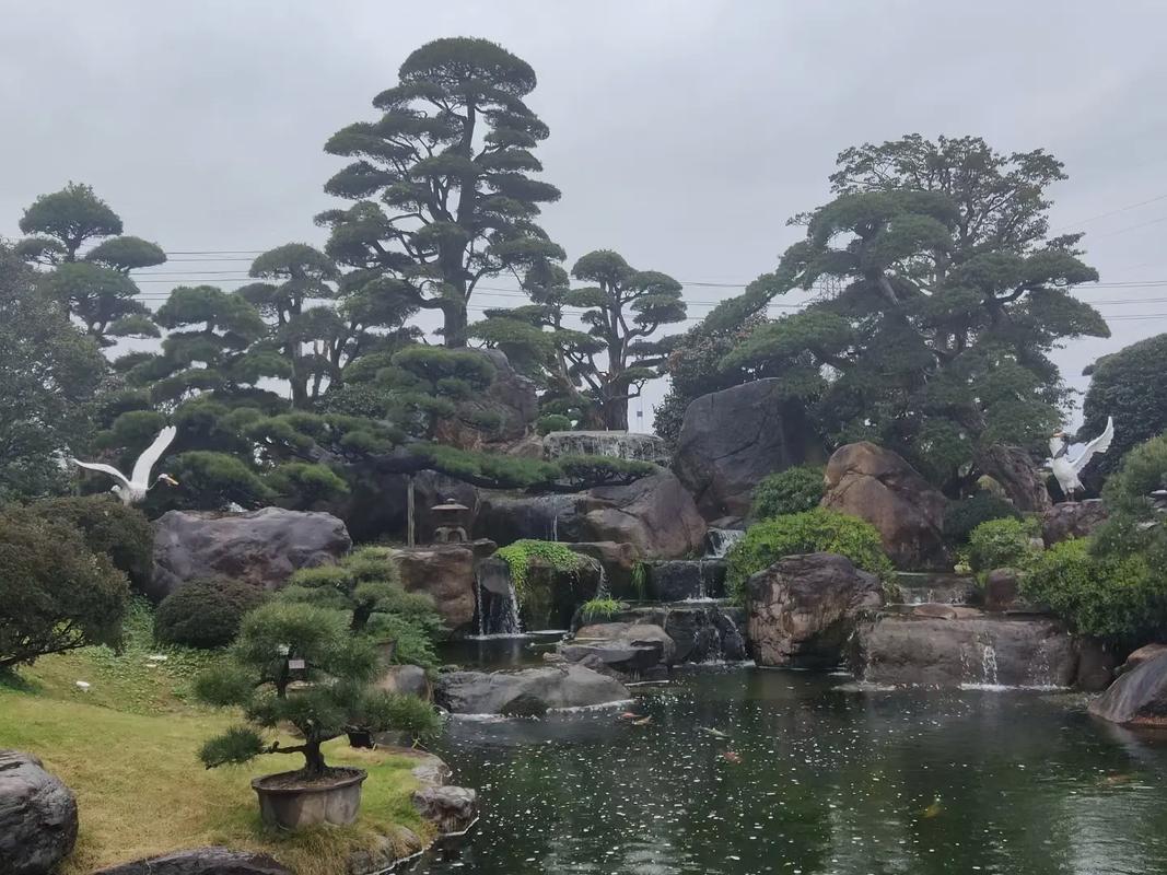從石頭到風(fēng)景 長(zhǎng)沙塑石假山與水系噴泉如何重塑城市靈氣