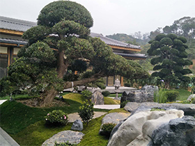禪意園林 東方美學(xué)的寂靜與深刻